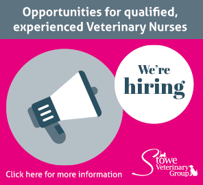 Stowe Veterinary Nurses